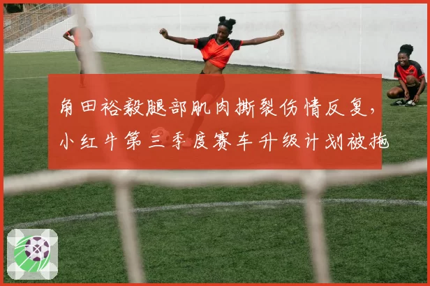 角田裕毅腿部肌肉撕裂伤情反复,小红牛第三季度赛车升级计划被拖累?