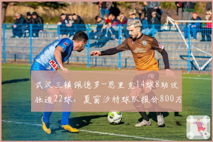 武汉三镇佩德罗-恩里克14球8助攻独造22球，夏窗沙特球队报价800万欧元